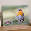 European Robin on Ground Photo Wall Art (7 Sizes) - Heavyweight