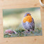 European Robin on Ground Photo Wall Art (7 Sizes) - Heavyweight