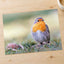 European Robin on Ground Photo Wall Art (7 Sizes) - Heavyweight
