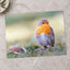 European Robin on Ground by Pierre Lemos Photo Print Wall Decor