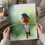 Small Blue and Orange Bird Sitting on Branch Photo Print (7 Sizes) - Frameable
