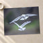 Couple of Seagulls Flying Photo Print (7 Sizes) - Satin Luster