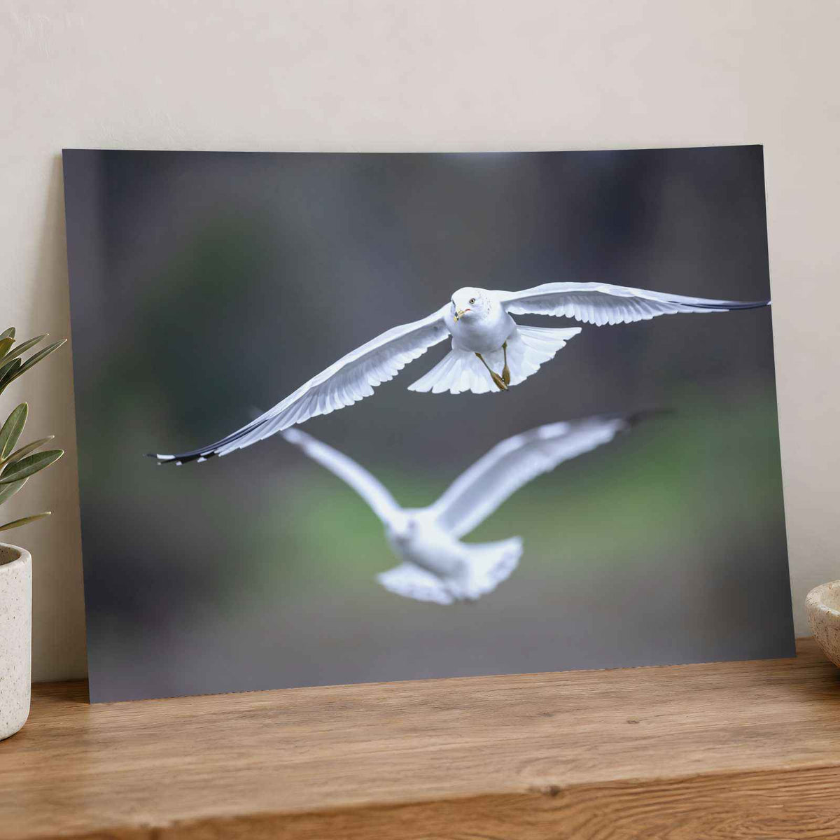 Couple of Seagulls Flying Photo Print (7 Sizes) - Satin Luster