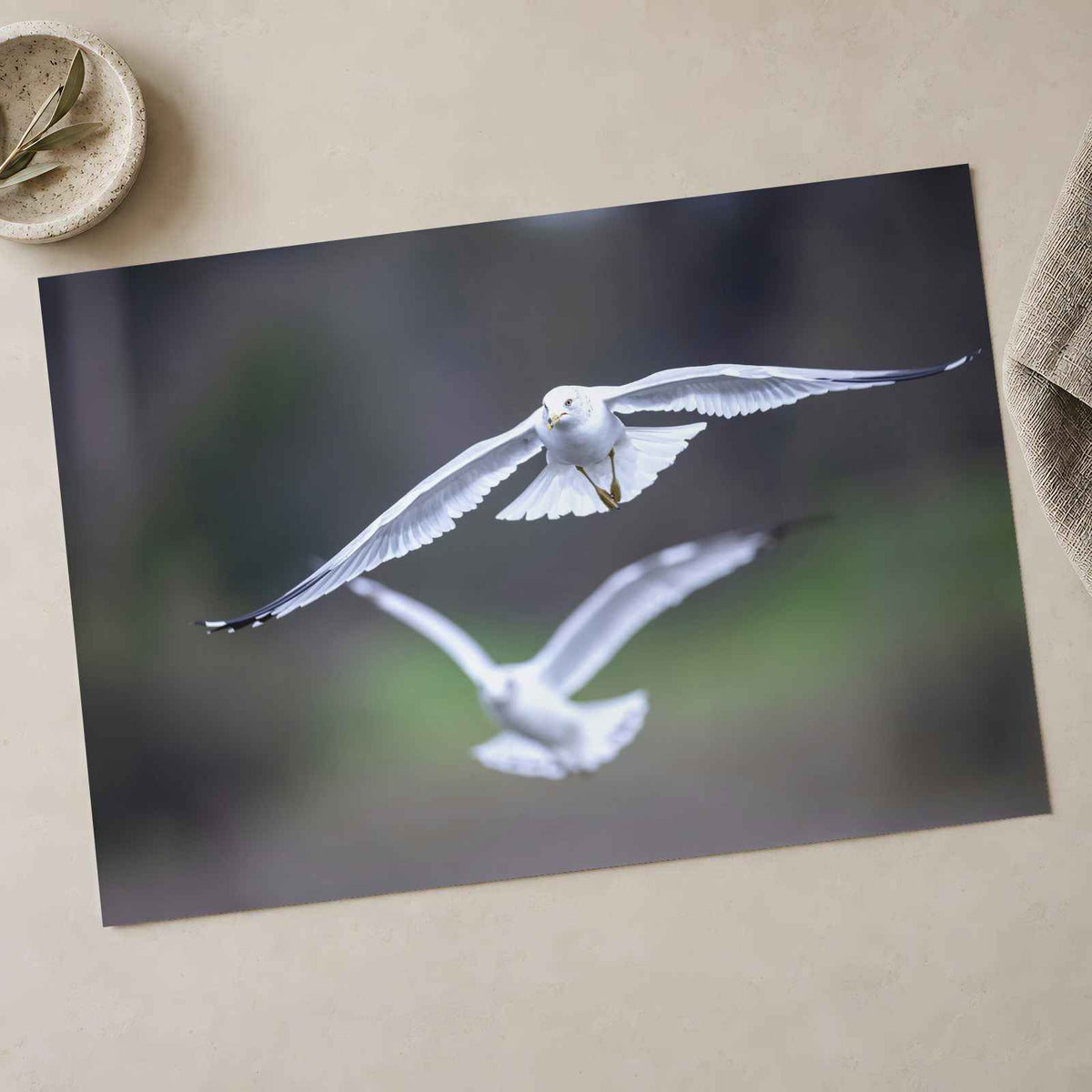 Couple of Seagulls Flying Photo Print (7 Sizes) - Satin Luster