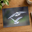 Couple of Seagulls Flying Photo Print (7 Sizes) - Satin Luster