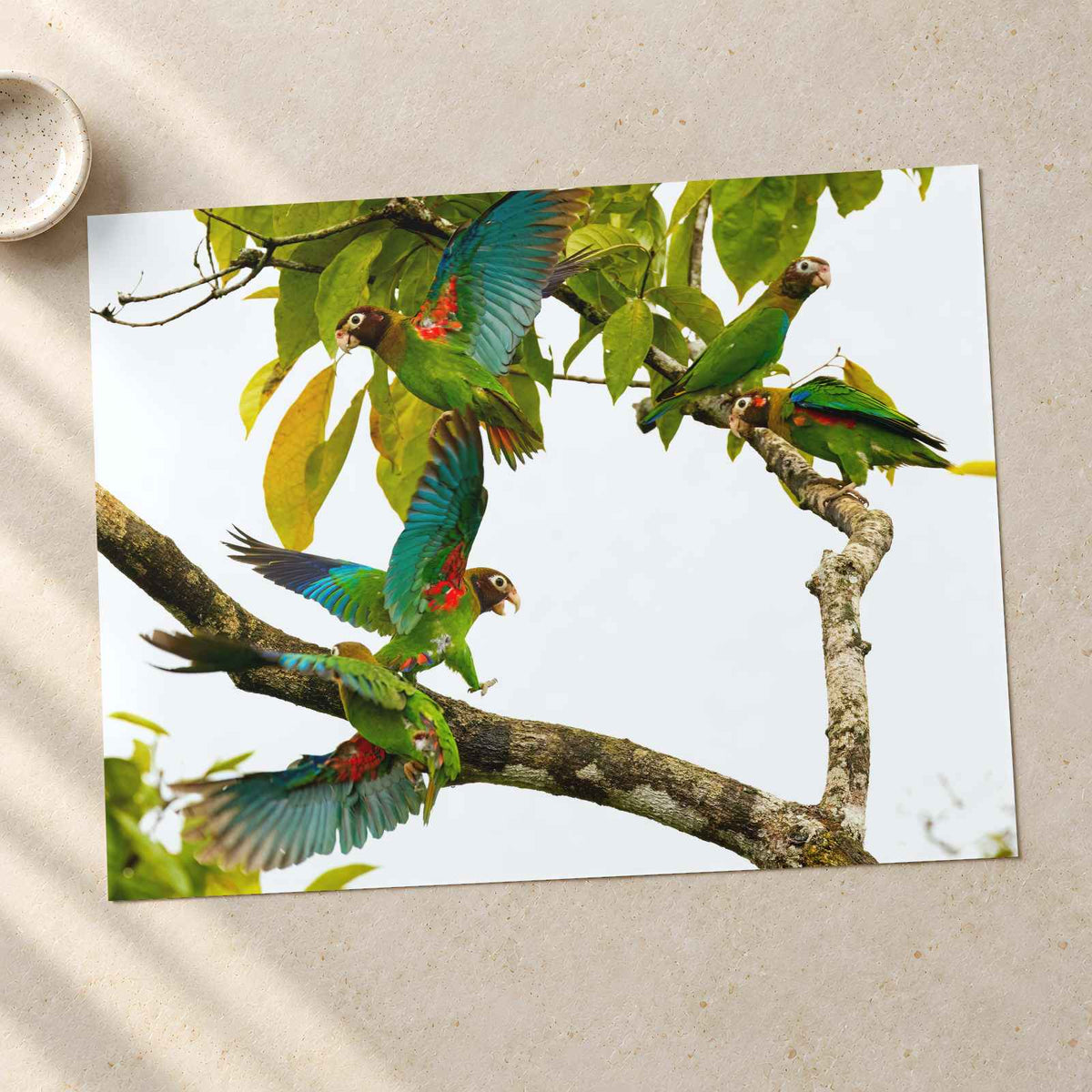 Group of Parrots in Tree Photo Wall Print (7 Sizes) - Ready to Frame