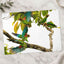 Group of Parrots in Tree Photo Wall Print (7 Sizes) - Ready to Frame