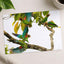 Group of Parrots in Tree Photo Wall Print (7 Sizes) - Ready to Frame