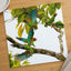 Group of Parrots in Tree Photo Wall Print (7 Sizes) - Ready to Frame