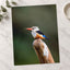 Kingfisher in Kenya Samburu Photo Print (7 Sizes) - High Quality