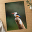 Kingfisher in Kenya Samburu Photo Print (7 Sizes) - High Quality