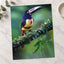 Colorful Dark Toucan Photo Wall Art (7 Sizes) - High Quality