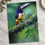 Colorful Dark Toucan Photo Wall Art (7 Sizes) - High Quality