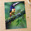 Colorful Dark Toucan Photo Wall Art (7 Sizes) - High Quality