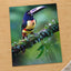 Colorful Dark Toucan by Zdeněk Macháček Photo Print Wall Decor