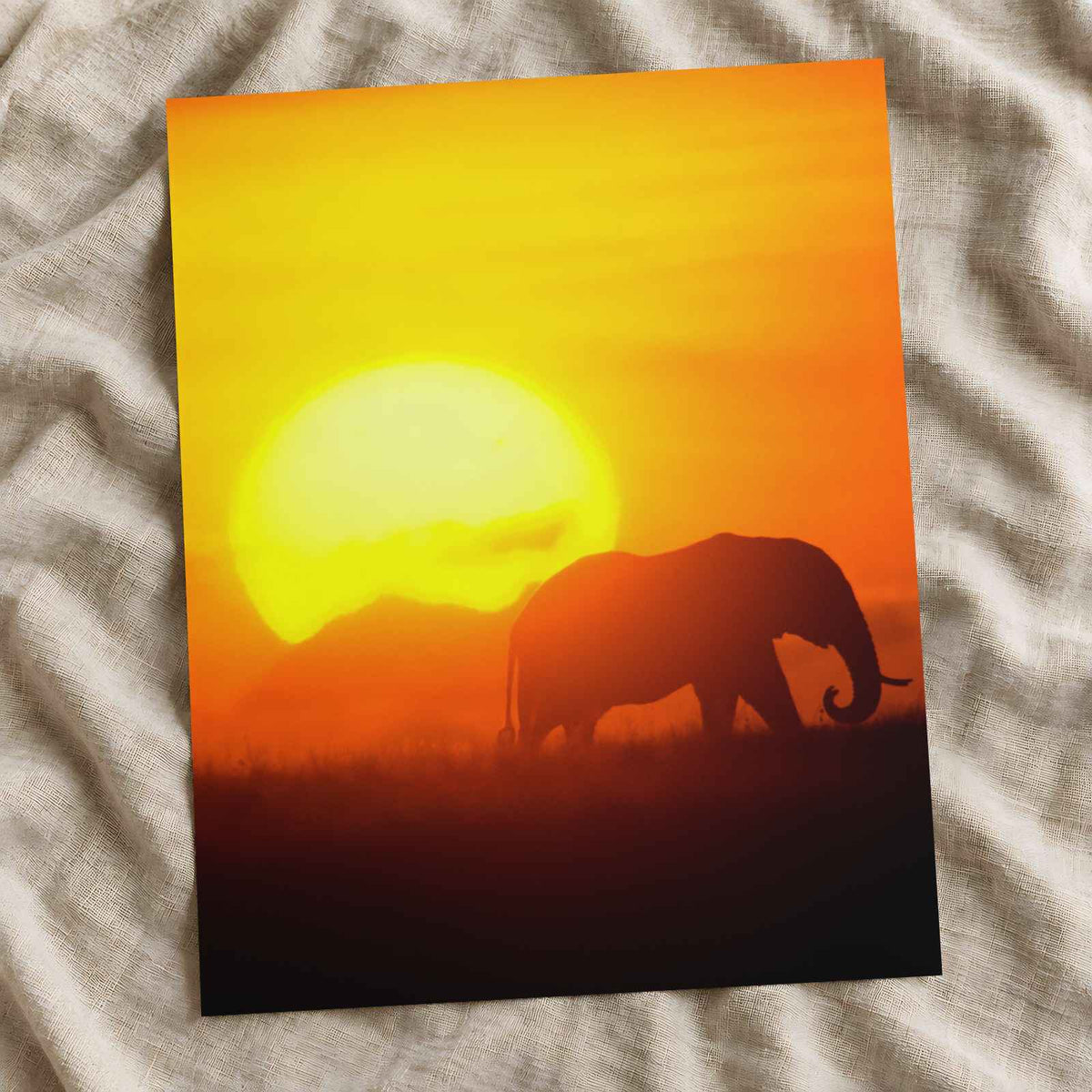 Elephant Walking at Sunset Photo Wall Print (7 Sizes) - Heavyweight