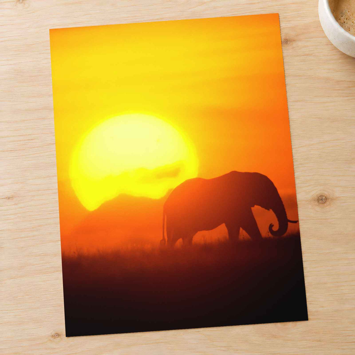 Elephant Walking at Sunset Photo Wall Print (7 Sizes) - Heavyweight