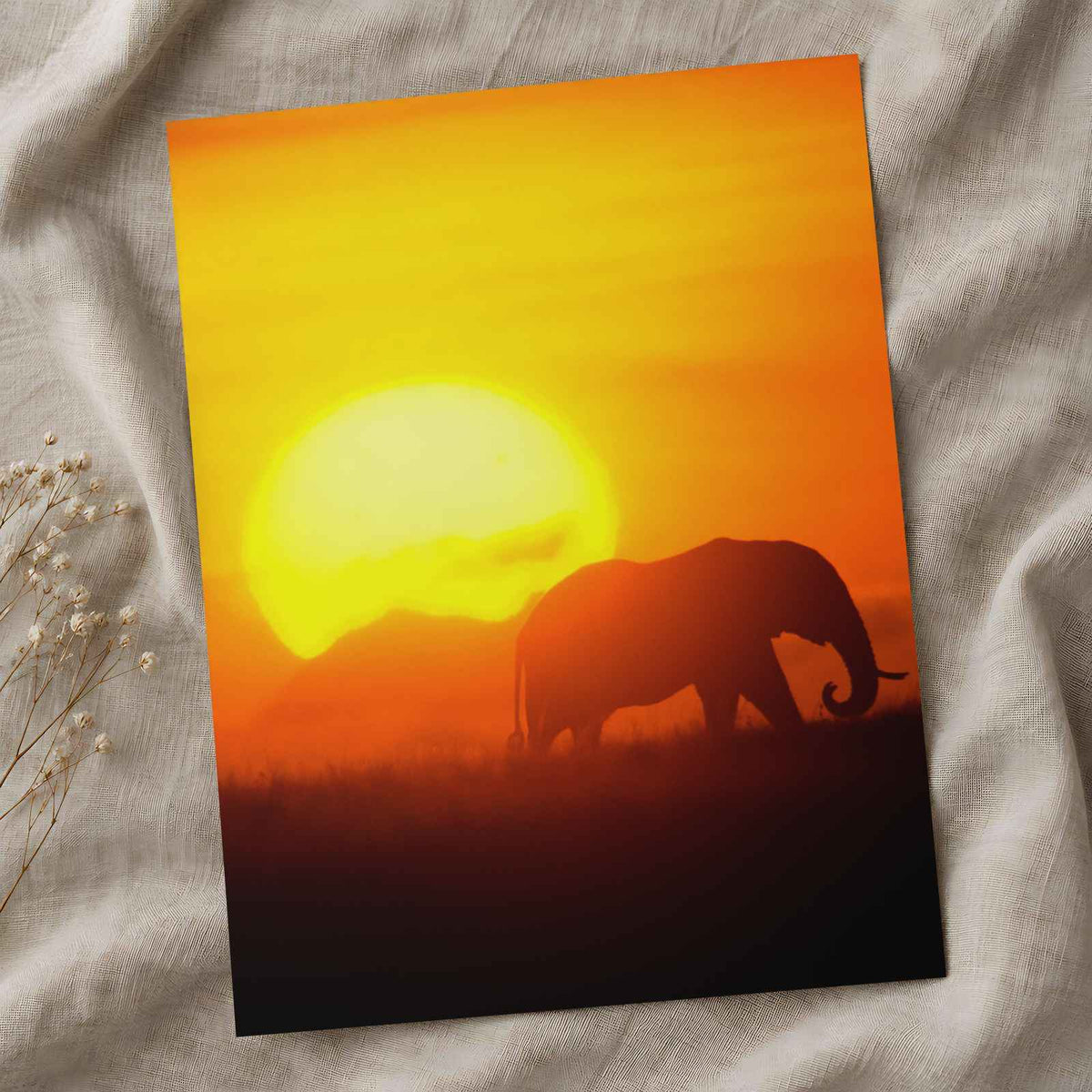 Elephant Walking at Sunset Photo Wall Print (7 Sizes) - Heavyweight