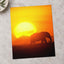 Elephant Walking at Sunset Photo Print Wall Decor