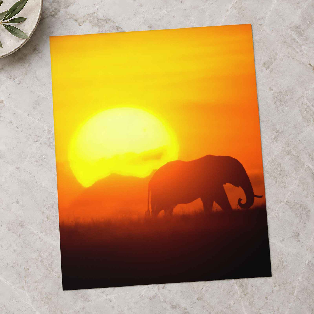 Elephant Walking at Sunset Photo Print Wall Decor