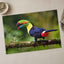Toucan with Beak Open Photo Print (7 Sizes) - Crisp Detail