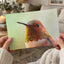Macro Portrait of Rufous Hummingbird Photography Print (4 Sizes)