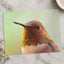 Macro Portrait of Rufous Hummingbird Photography Print (4 Sizes)