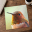 Macro Portrait of Rufous Hummingbird Photography Print (4 Sizes)