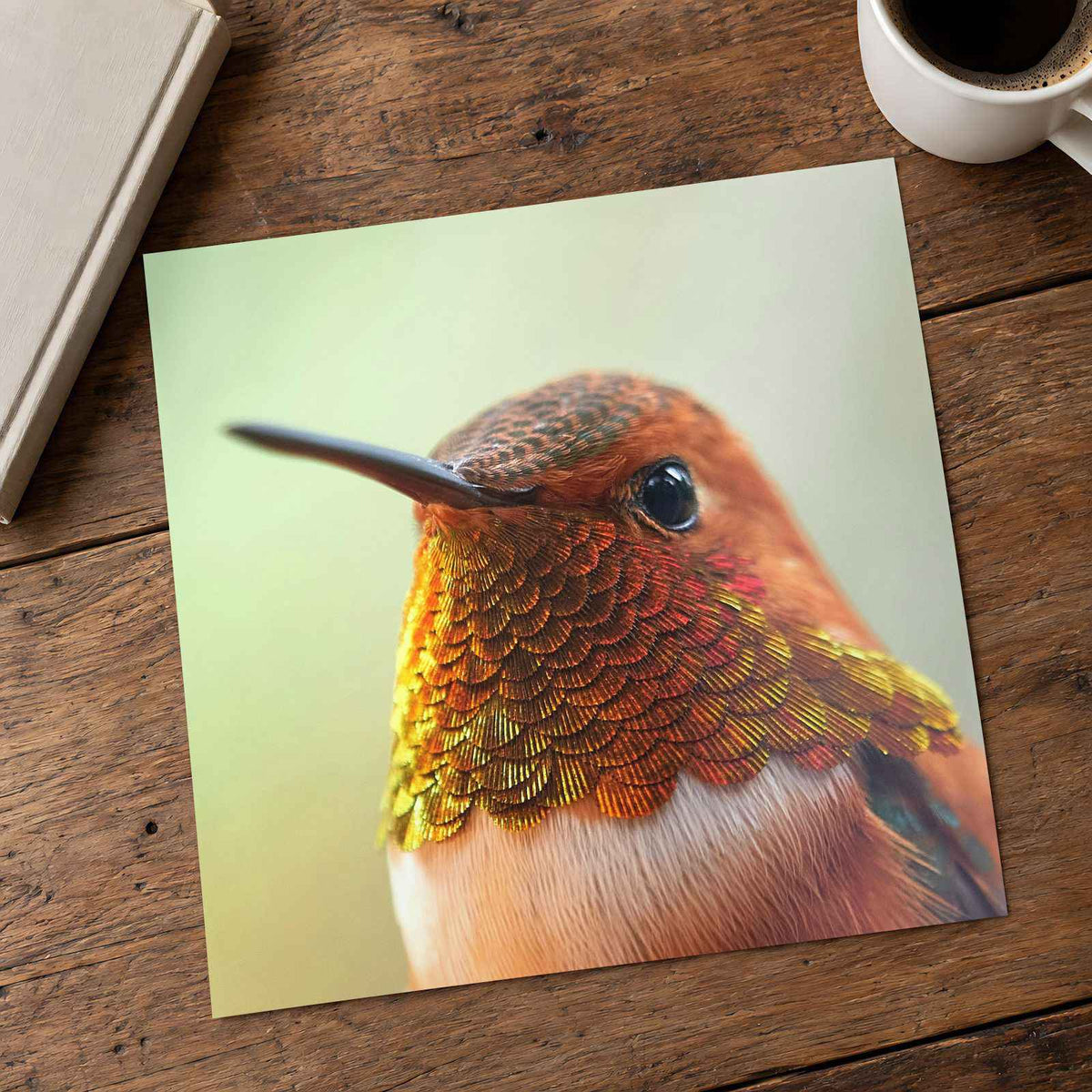Macro Portrait of Rufous Hummingbird Photography Print (4 Sizes)