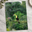 Toucan Perched on Branch in Forest Photo Wall Print (7 Sizes) - Printed in USA