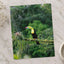 Toucan Perched on Branch in Forest Photo Wall Print (7 Sizes) - Printed in USA
