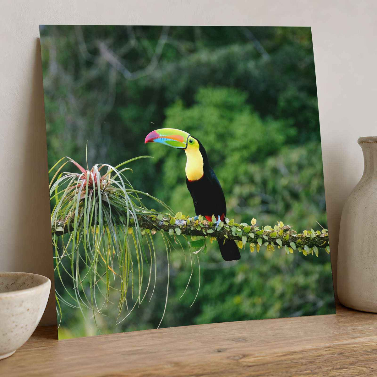 Toucan Perched on Branch in Forest Photo Wall Print (7 Sizes) - Printed in USA