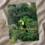 Toucan Perched on Branch in Forest Photo Wall Print (7 Sizes) - Printed in USA