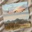 Canada Geese Flying in Clear Winter Sky Photo Print (5 Sizes) - Crisp Detail