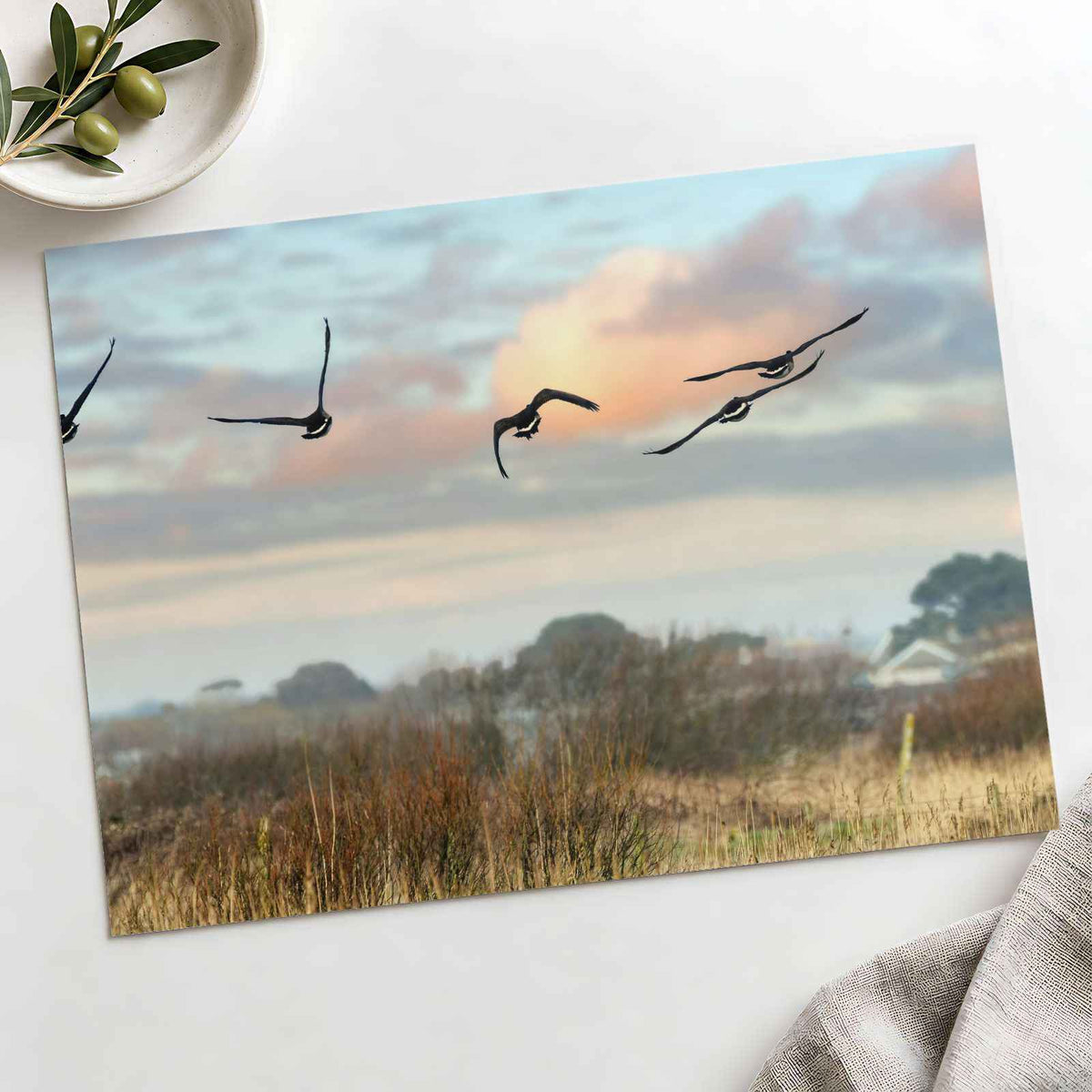 Canada Geese Flying in Clear Winter Sky Photo Print Wall Decor