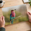 Lilac-Breasted Roller Bird Perched on Branch Photo Wall Print (7 Sizes)