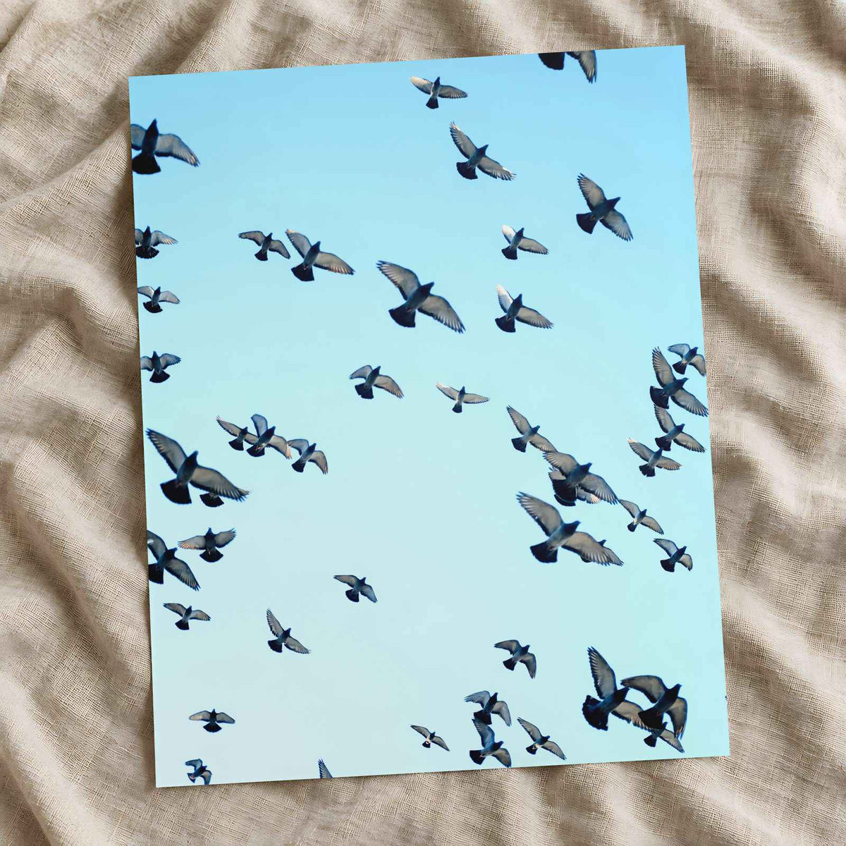 Flock of Pigeons Flying in Clear Blue Sky Photographic Art Print (7 Sizes)