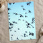 Flock of Pigeons Flying in Clear Blue Sky Photographic Art Print (7 Sizes)