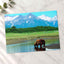 Brown Bear Standing in Stream Alaska Photo Wall Print (6 Sizes) - Printed in USA