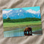 Brown Bear Standing in Stream Alaska Photo Wall Print (6 Sizes) - Printed in USA