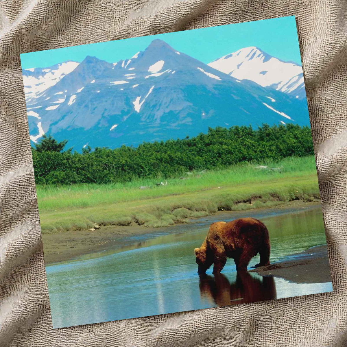 Brown Bear Standing in Stream Alaska Photo Wall Print (6 Sizes) - Printed in USA