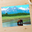 Brown Bear Standing in Stream Alaska Photo Wall Print (6 Sizes) - Printed in USA