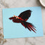Two Scarlet Macaws Flying Together Photographic Art Print (5 Sizes) - Frameable