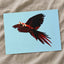 Two Scarlet Macaws Flying Together Photo Print Wall Decor