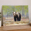 Wild Brown Bear Walking in Taiga Forest Photo Print (7 Sizes) - High Quality
