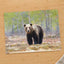 Wild Brown Bear Walking in Taiga Forest Photo Print (7 Sizes) - High Quality