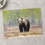 Wild Brown Bear Walking in Taiga Forest Photo Print (7 Sizes) - High Quality