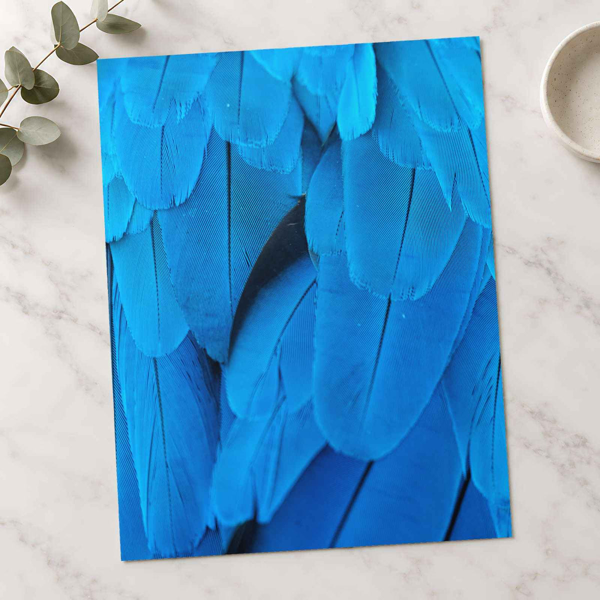Close Up of Blue Bird's Feathers Photography Print (7 Sizes) - Frameable