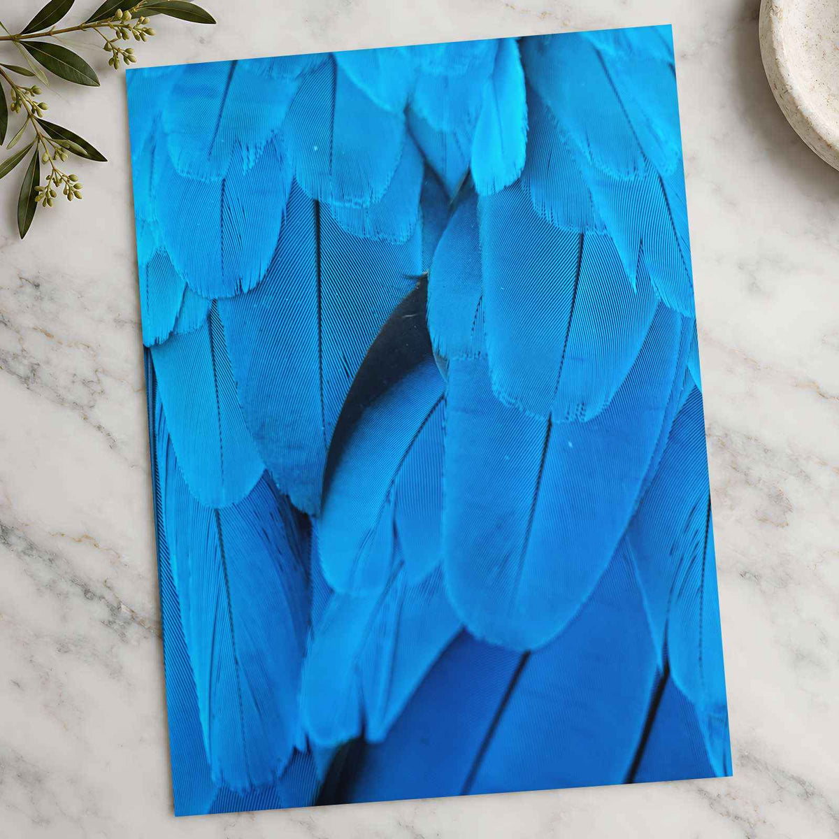Close Up of Blue Bird's Feathers Photography Print (7 Sizes) - Frameable