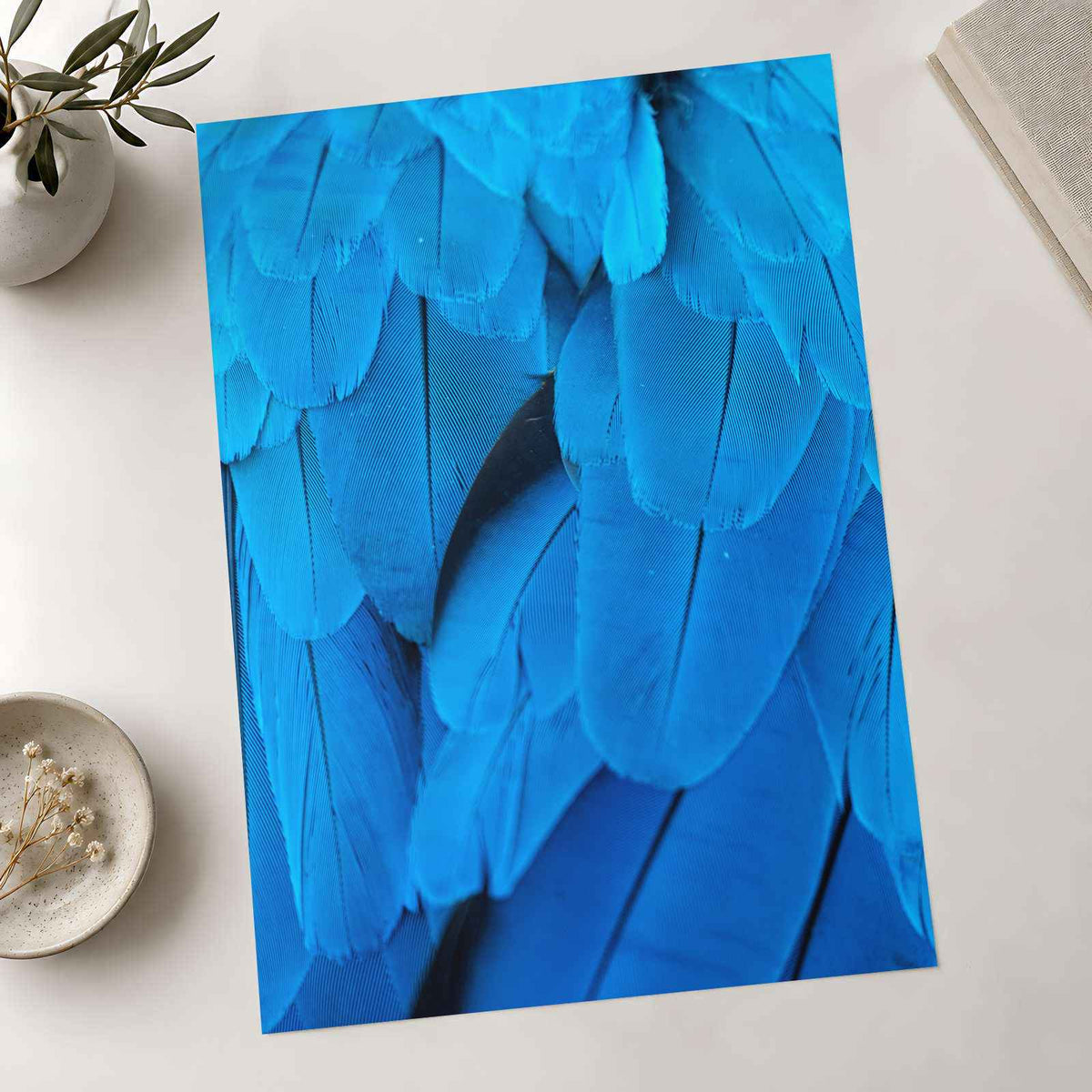 Close Up of Blue Bird's Feathers Photography Print (7 Sizes) - Frameable